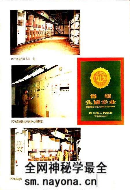 《广华公司志》.pdf电子版_四川省志预览图5 《广华公司志》.pdf电子版_四川省志预览图5