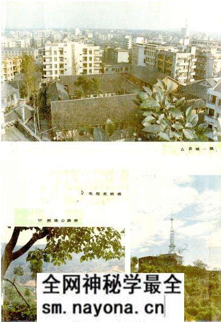 《营山县志》.pdf电子版_四川省志预览图5 《营山县志》.pdf电子版_四川省志预览图5