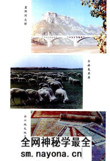 《神木县志》.pdf电子版_陕西省志预览图5 《神木县志》.pdf电子版_陕西省志预览图5