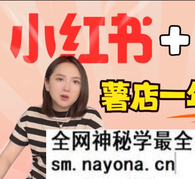 三九小红书一年陪伴课【2025年5月全新录制】(价值2980元)