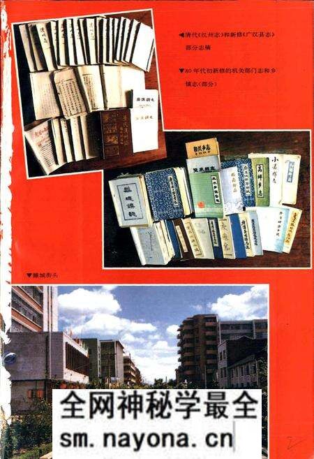 《广汉县志》.pdf电子版_四川省志预览图3