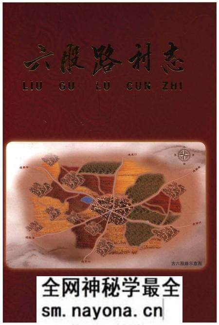 《六股路村志》.pdf电子版_山东省志预览图