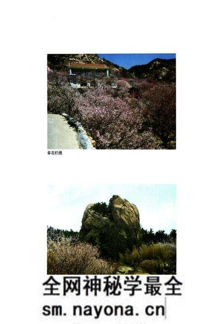 《磅石村志》.pdf电子版_山东省志预览图4
