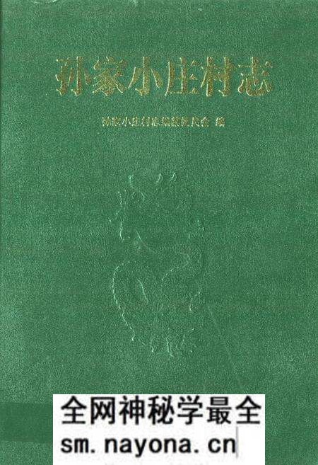 《孙家小庄村志》.pdf电子版_山东省志预览图
