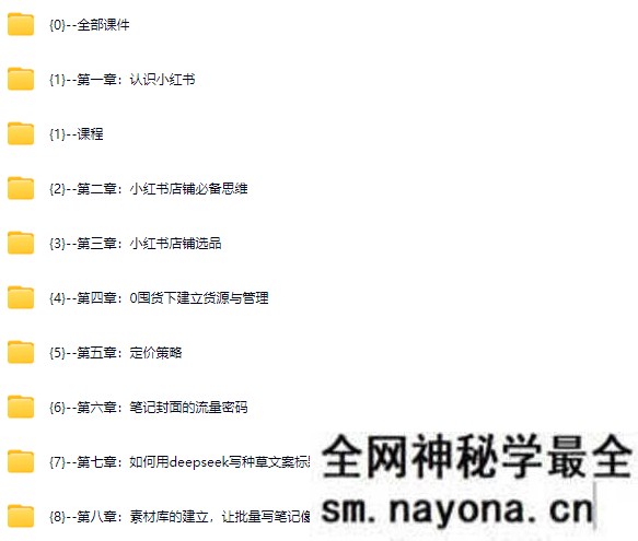 三九小红书一年陪伴课【2025年5月全新录制】(价值2980元)