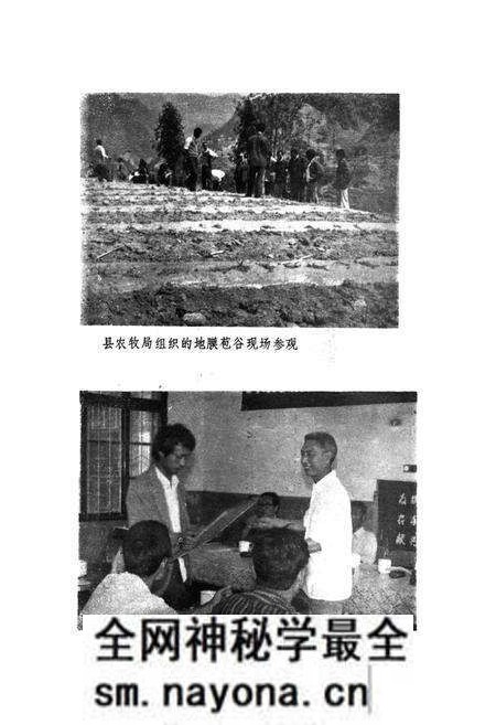 《石泉县农牧志》.pdf电子版_陕西省志预览图5 《石泉县农牧志》.pdf电子版_陕西省志预览图5
