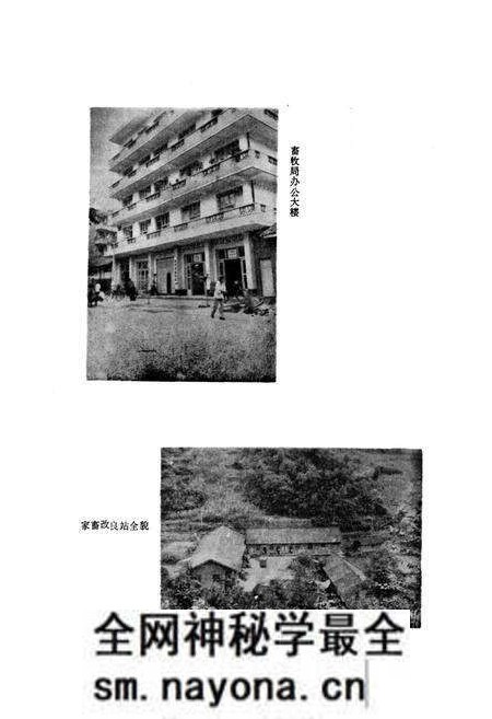 《青川县畜牧志》.pdf电子版_四川省志预览图5 《青川县畜牧志》.pdf电子版_四川省志预览图5