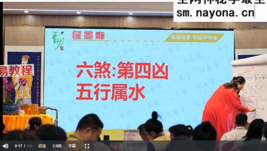 徐子辰环境能量研讨会视频16集