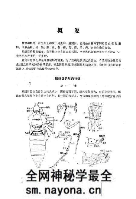 《鳞翅目_蝶类》.pdf电子版_陕西省志预览图4 《鳞翅目_蝶类》.pdf电子版_陕西省志预览图4