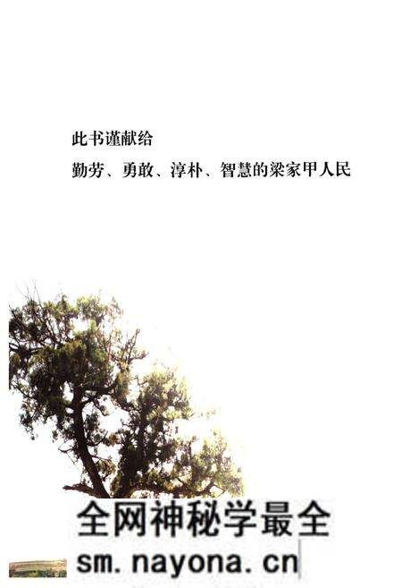 《梁家甲村志》.pdf电子版_陕西省志预览图2