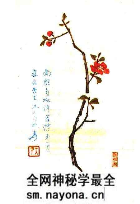 《望江楼志》.pdf电子版_四川省志预览图5