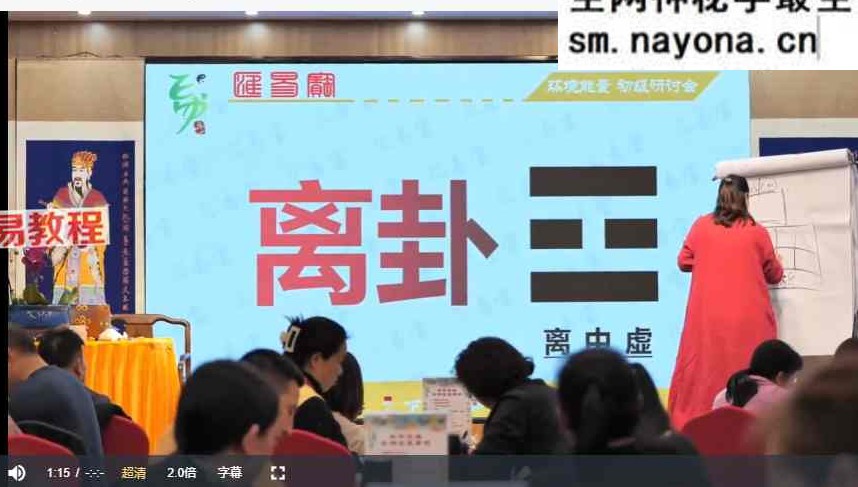 徐子辰环境能量研讨会视频16集