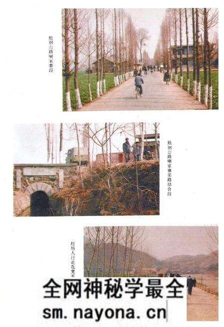 《勉县交通志》.pdf电子版_陕西省志预览图4