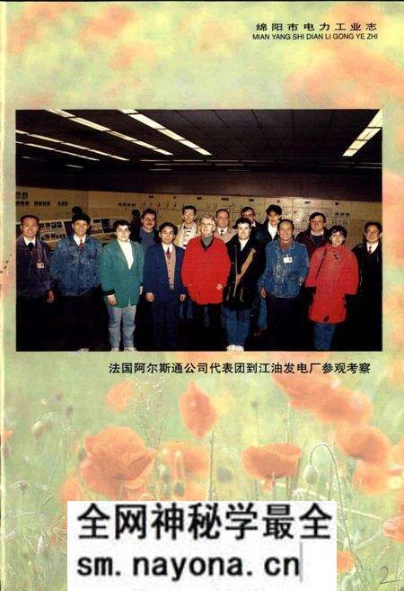 《绵阳市电力工业志》.pdf电子版_四川省志预览图5 《绵阳市电力工业志》.pdf电子版_四川省志预览图5