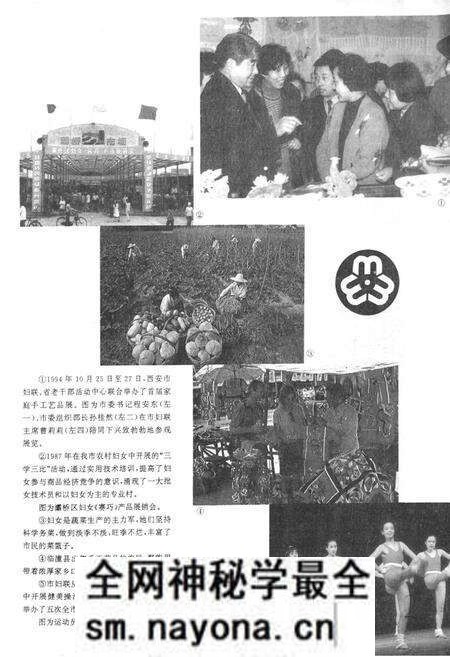 《西安妇女团体志》.pdf电子版_陕西省志预览图3