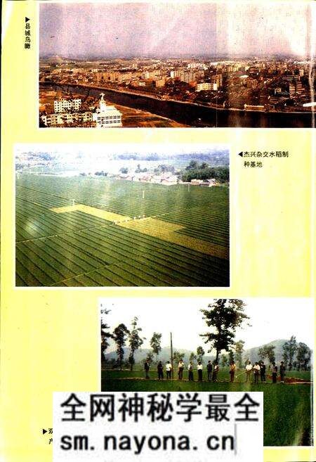 《中江县志》.pdf电子版_四川省志预览图4 《中江县志》.pdf电子版_四川省志预览图4