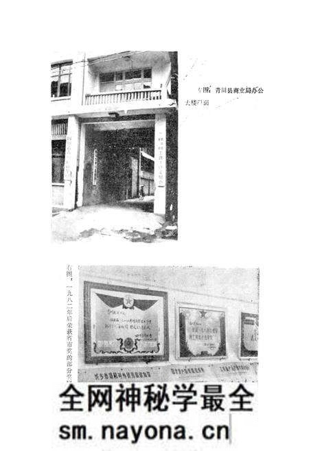 《青川县商业志》.pdf电子版_四川省志预览图5