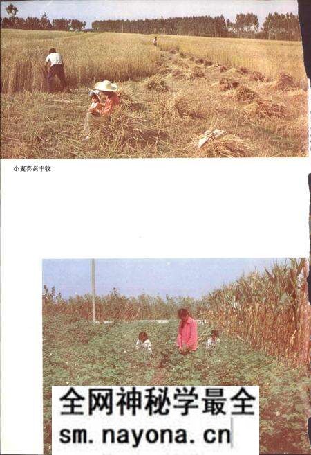 《陕西省高陵县地名志》.pdf电子版_陕西省志预览图4