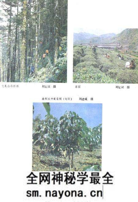 《陕西省安康地区地理志》.pdf电子版_陕西省志预览图4 《陕西省安康地区地理志》.pdf电子版_陕西省志预览图4