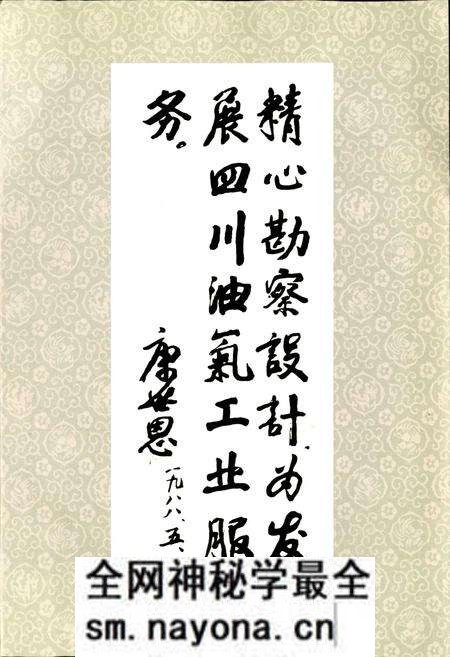 《四川省石油管理局勘察设计研究院志》.pdf电子版_四川省志预览图2 《四川省石油管理局勘察设计研究院志》.pdf电子版_四川省志预览图2