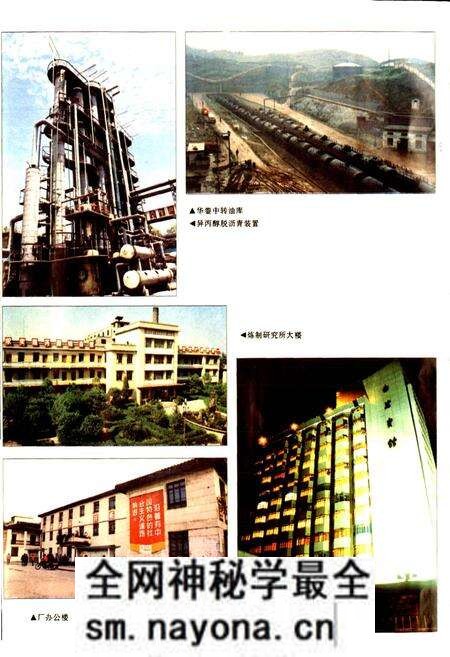 《四川省石油管理局南充炼油厂志》.pdf电子版_四川省志预览图5 《四川省石油管理局南充炼油厂志》.pdf电子版_四川省志预览图5