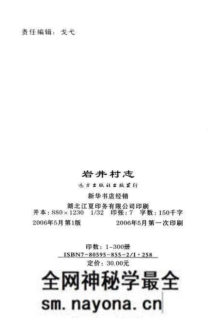 《岩井村志》.pdf电子版_山西省志预览图2