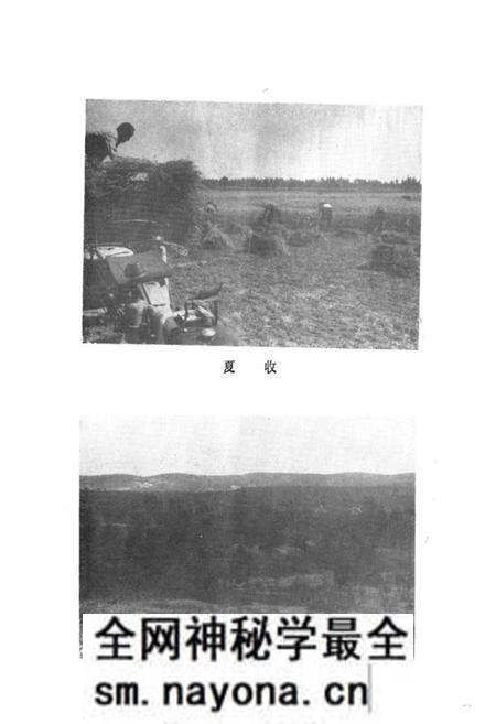 《金鸡滩乡志》.pdf电子版_陕西省志预览图3 《金鸡滩乡志》.pdf电子版_陕西省志预览图3