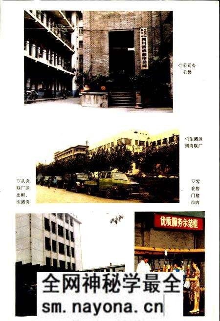 《成都市食品公司志》.pdf电子版_四川省志预览图3 《成都市食品公司志》.pdf电子版_四川省志预览图3