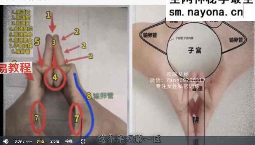 男女私密 手诊 视频6集
