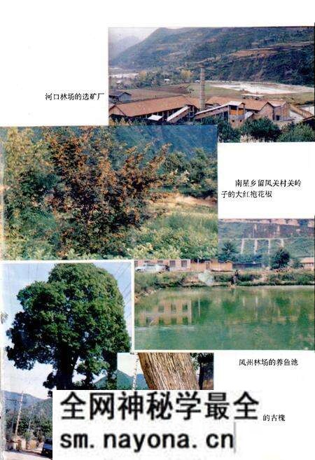 《凤县林业志》.pdf电子版_陕西省志预览图5 《凤县林业志》.pdf电子版_陕西省志预览图5