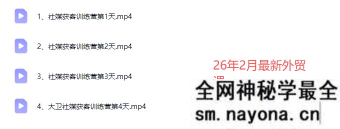 大卫老师-外贸社媒获客独家训练营2026年2月份(价值2980元)