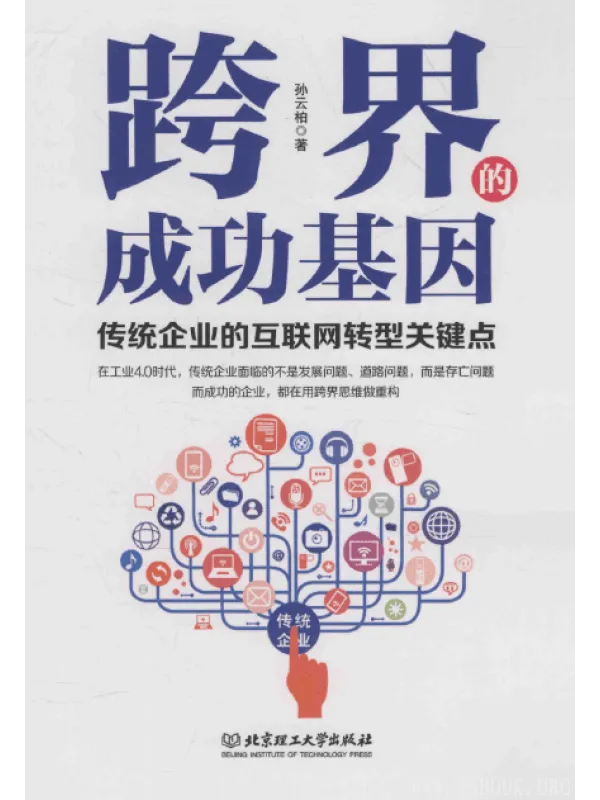 《跨界的成功基因：传统企业的互联网转型关键点》封面图片