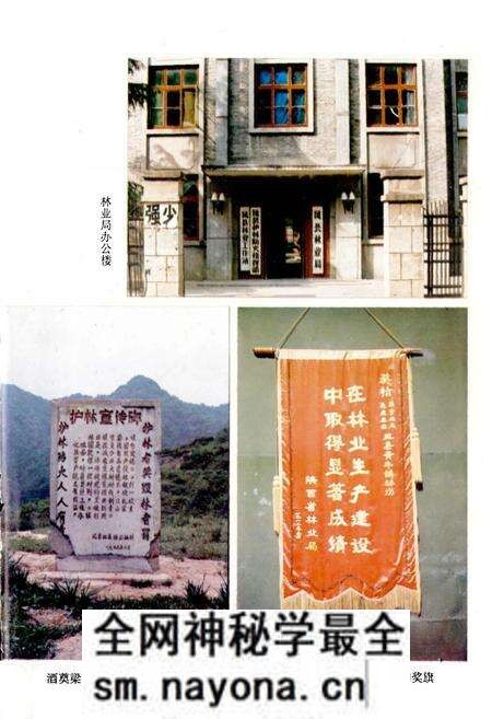 《凤县林业志》.pdf电子版_陕西省志预览图3 《凤县林业志》.pdf电子版_陕西省志预览图3