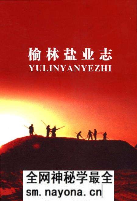 《榆林盐业志》.pdf电子版_陕西省志预览图