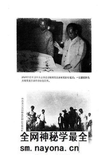 《榆林市林业志》.pdf电子版_陕西省志预览图4 《榆林市林业志》.pdf电子版_陕西省志预览图4
