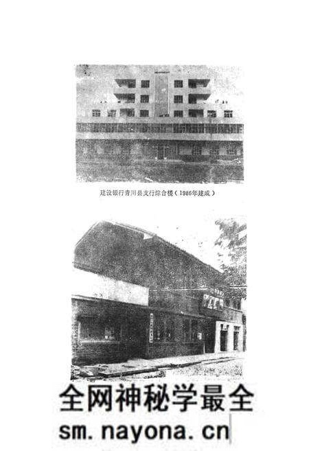 《青川县金融志》.pdf电子版_四川省志预览图5 《青川县金融志》.pdf电子版_四川省志预览图5