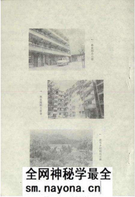 《绵阳市林业志》.pdf电子版_四川省志预览图3 《绵阳市林业志》.pdf电子版_四川省志预览图3