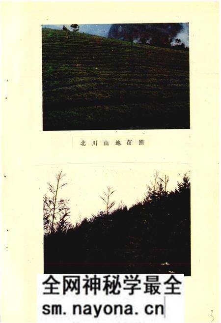 《北川县志 林业志》.pdf电子版_四川省志预览图4