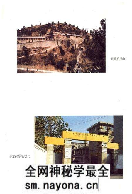 《中药志》.pdf电子版_陕西省志预览图4 《中药志》.pdf电子版_陕西省志预览图4