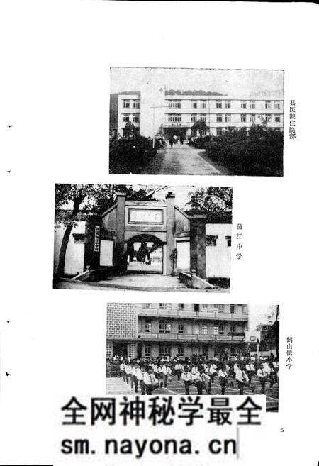 《四川蒲江县鹤山镇志》.pdf电子版_四川省志预览图5 《四川蒲江县鹤山镇志》.pdf电子版_四川省志预览图5
