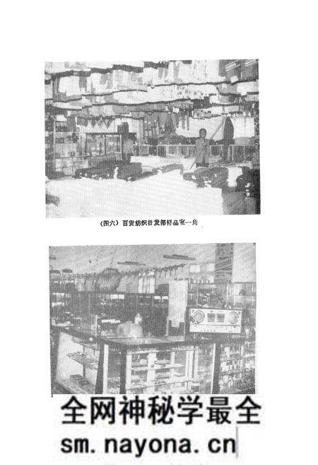 《陇县商业志》.pdf电子版_陕西省志预览图5 《陇县商业志》.pdf电子版_陕西省志预览图5