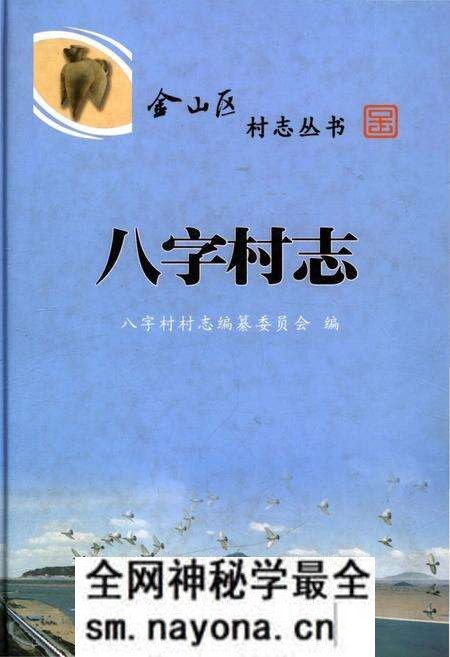 《八字村志》.pdf电子版_上海市志预览图 《八字村志》.pdf电子版_上海市志预览图