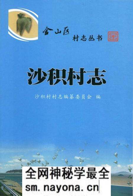 《沙积村志》.pdf电子版_上海市志预览图 《沙积村志》.pdf电子版_上海市志预览图