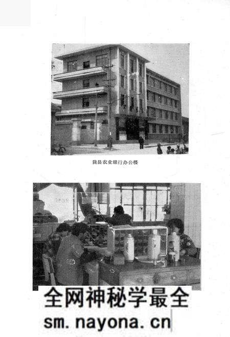 《陇县农业银行志》.pdf电子版_陕西省志预览图5 《陇县农业银行志》.pdf电子版_陕西省志预览图5