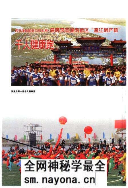 《高陵县文化体育志》.pdf电子版_陕西省志预览图5 《高陵县文化体育志》.pdf电子版_陕西省志预览图5