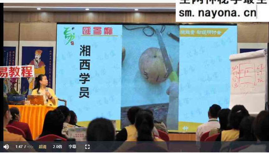 徐子辰环境能量研讨会视频16集