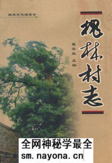 《《槐林村志》》.pdf电子版_山西省志预览图 《《槐林村志》》.pdf电子版_山西省志预览图