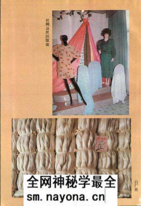 《绵阳市对外经济贸易志》.pdf电子版_四川省志预览图5