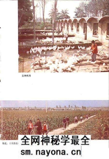 《陕西省高陵县地名志》.pdf电子版_陕西省志预览图5