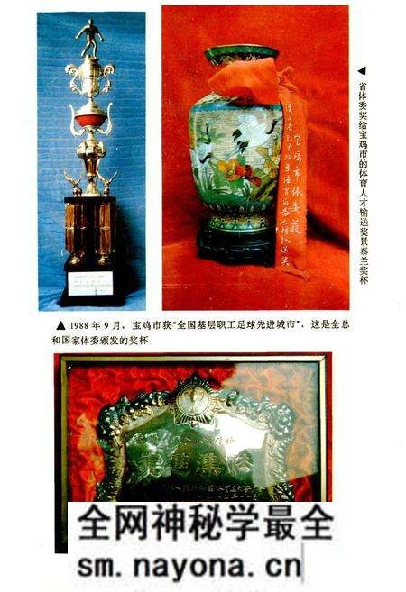 《宝鸡市体育志》.pdf电子版_陕西省志预览图3 《宝鸡市体育志》.pdf电子版_陕西省志预览图3